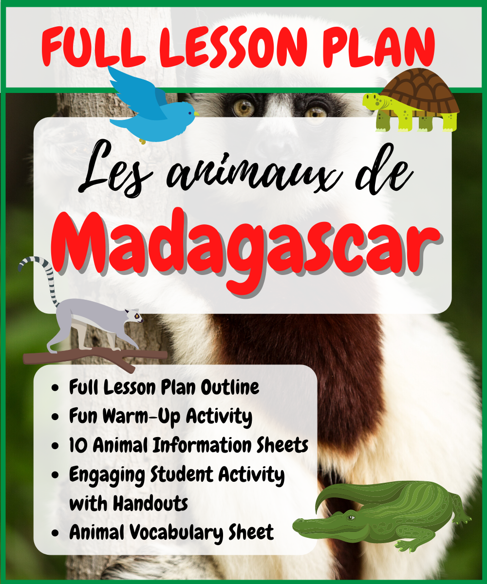 French Madagascar Cultural Lessons and French Class Activities