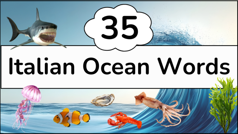 Italian Ocean Vocabulary Word Video
