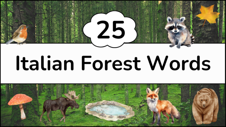 Beginner Italian Forest Words Resources Free PDF Download