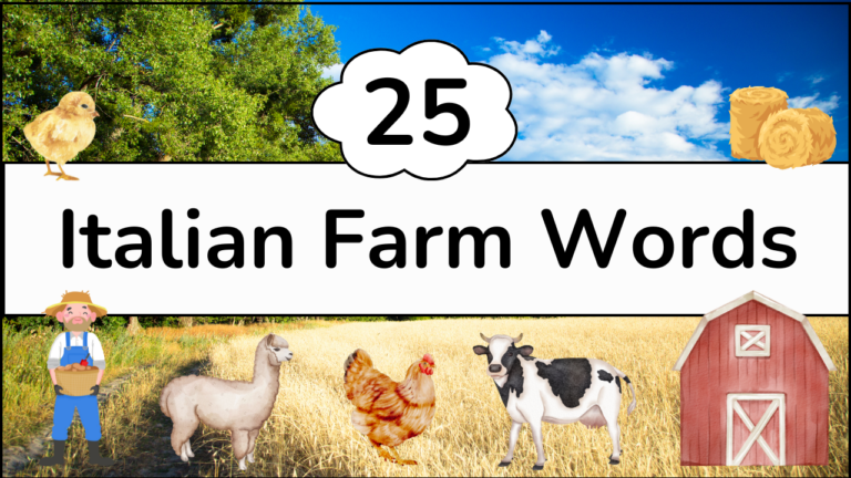 Italian Farm Vocabulary Words YouTube Video and Quiz