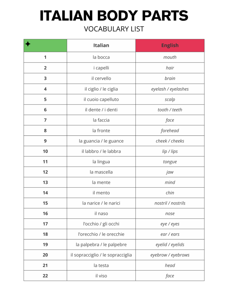 Italian Body Parts / Il Corpo Vocabulary List Free PDF Download