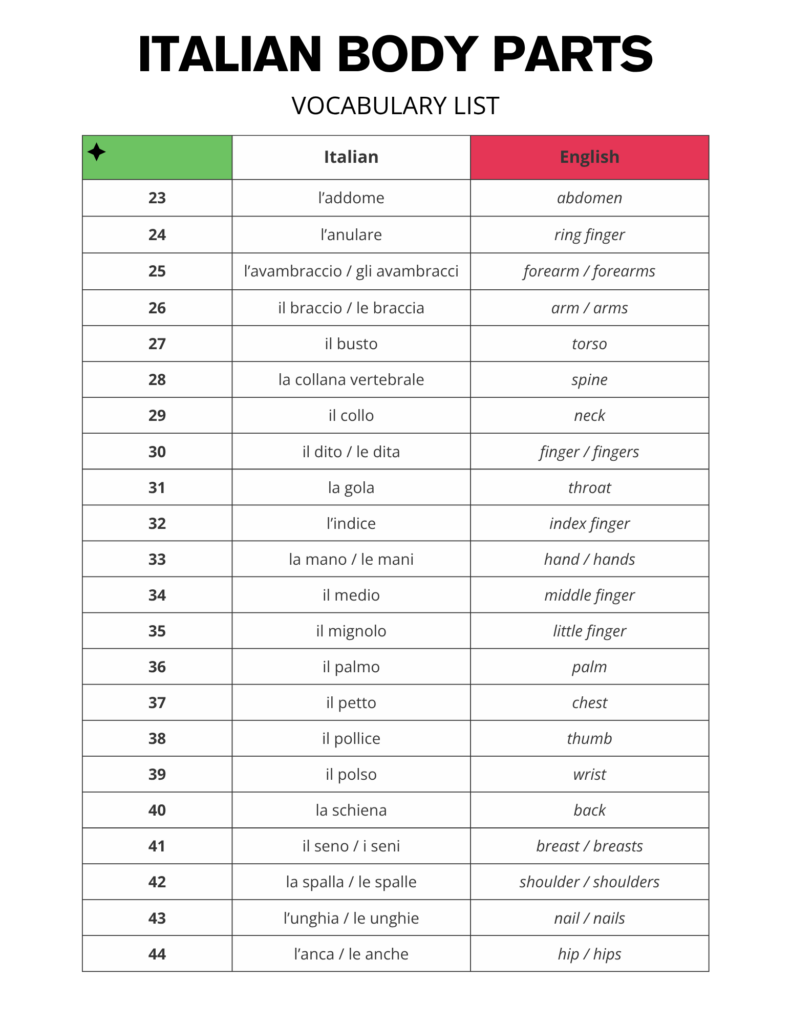 Italian Body Parts / Il Corpo Vocabulary List Free PDF Download