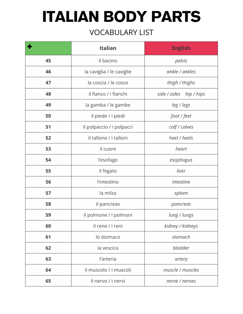 Italian Body Parts / Il Corpo Vocabulary List Free PDF Download