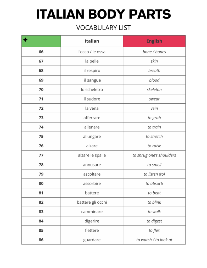 Italian Body Parts / Il Corpo Vocabulary List Free PDF Download
