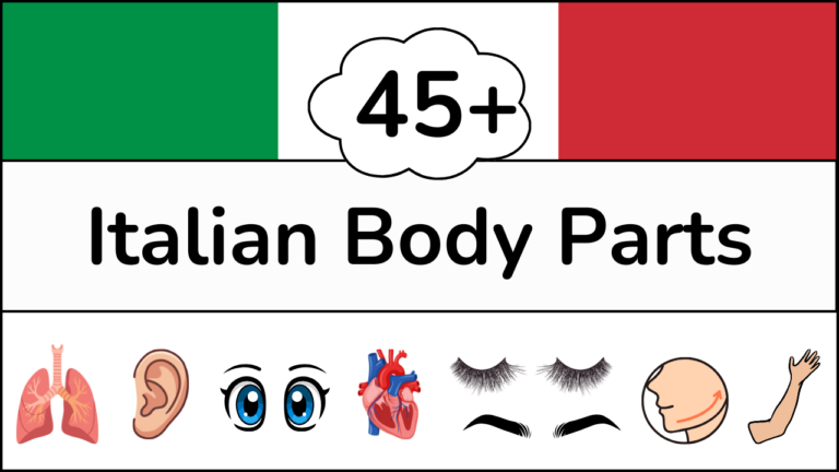 Learn Italian Body Parts - Vocabulary List, Video and Word Search
