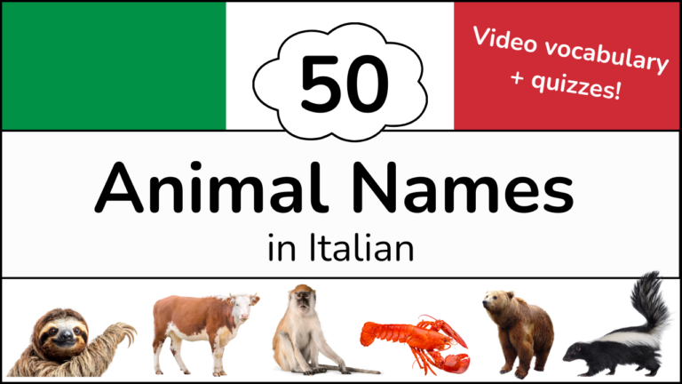 Learn Italian Animal Names with Video Vocabulary on YouTube